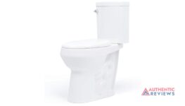 20 inch Extra Tall Toilet. Convenient Height bowl taller than ADA Comfort Height. Dual flush, Metal handle, Slow-close seat