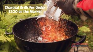 Charcoal Grills For Under $200 on the Market (1)