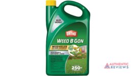 Ortho 0430005 B Gon Weed Killer for Lawns Concentrate2, 1-Gallon, 1 gal