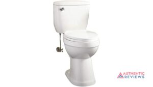 Signature Hardware 413995 Stalnaker 1.6 GPF Siphonic ADA Compliant Two-Piece Elongated Toilet - Seat Included