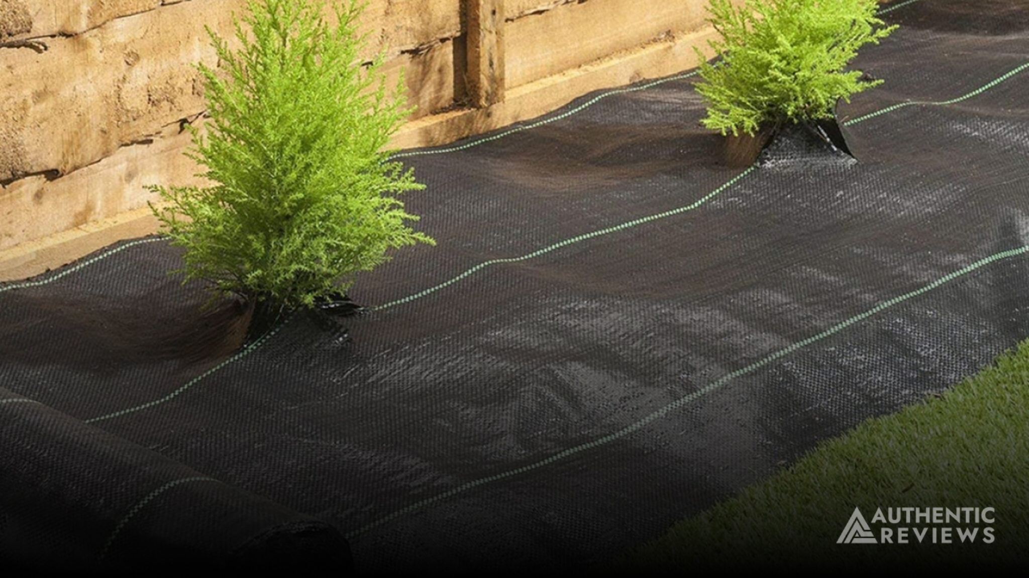Top 5 Best Landscape Fabric of 2023