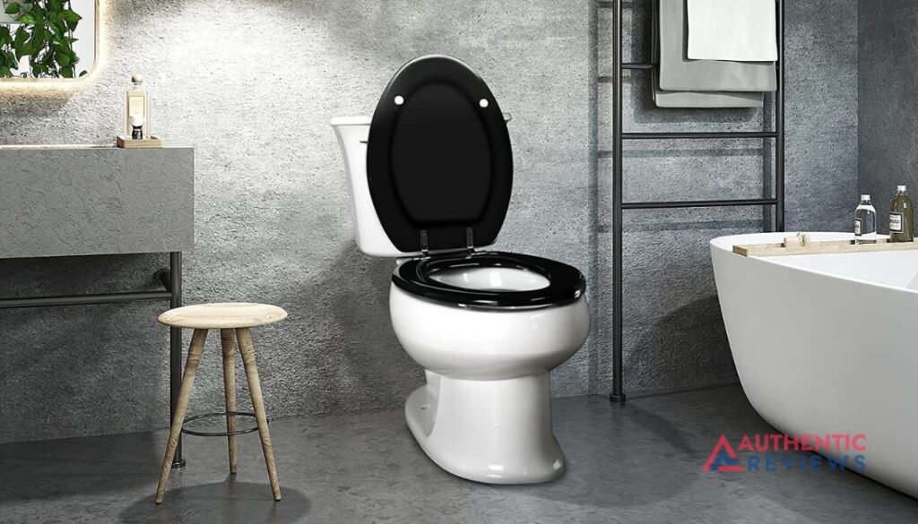 5 Best Toilet Seat For A Heavy Person