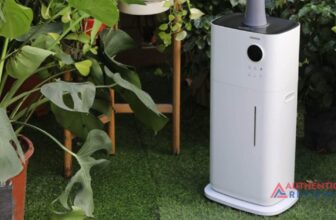 humidifier for plants