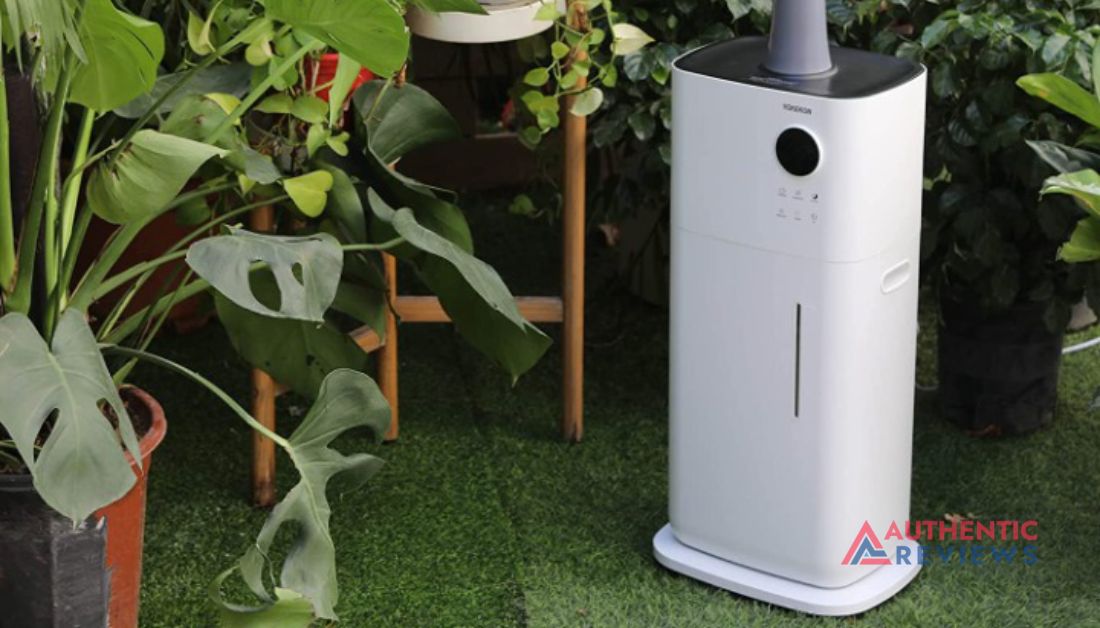 humidifier for plants
