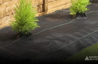 Best Landscape Fabric