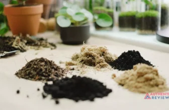 Best Soils For Monstera to Grow Healthy & Flourish