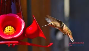How To Keep Ants Out of Hummingbird Feeders