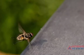 Install Screens on Windows and Doors