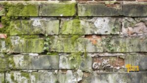 Remove Limewash from Brick