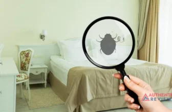 Use Bleach To Get RID Of Bed Bugs