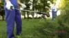 Brush Killers for Your Lawn & Garden