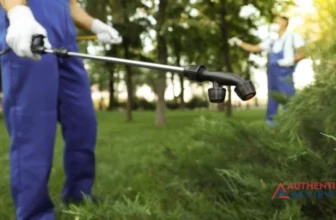 Brush Killers for Your Lawn & Garden