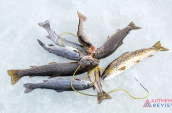 Top 5 Best Fish Stringer - Strength in Every String