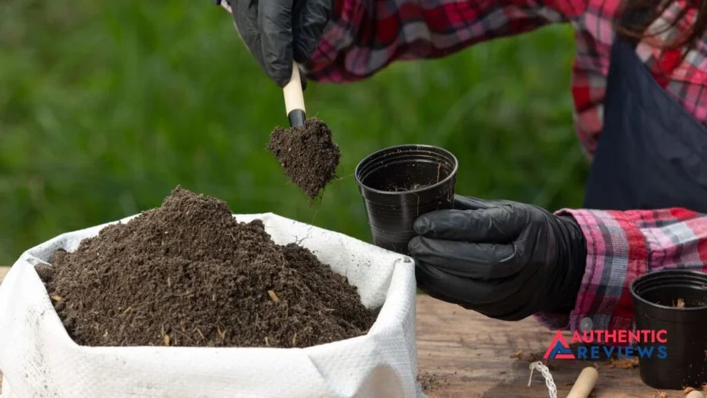 Fix Burnt Grass From a Fire Pit