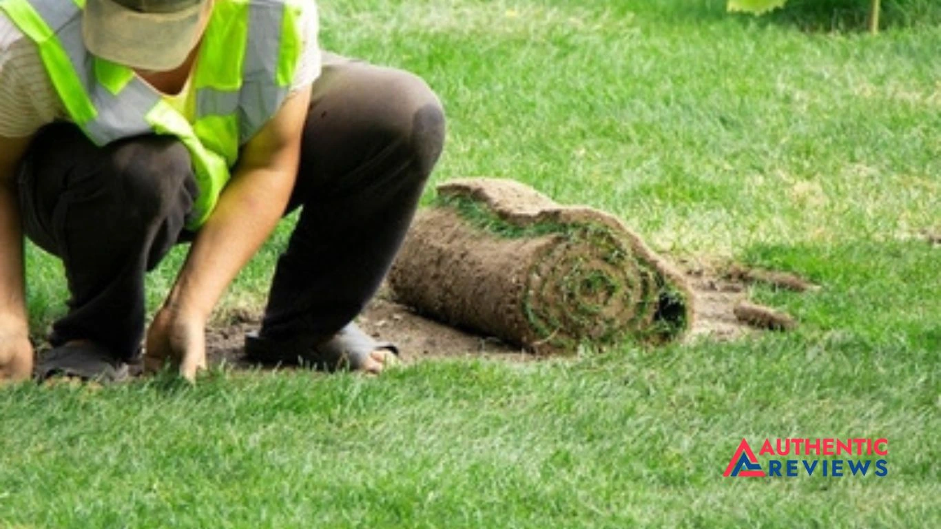 Fix Burnt Grass From a Fire Pit