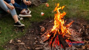How to Fix Burnt Grass From a Fire Pit (3)