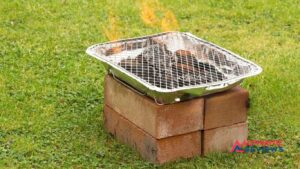 How to Fix Burnt Grass From a Fire Pit (3)