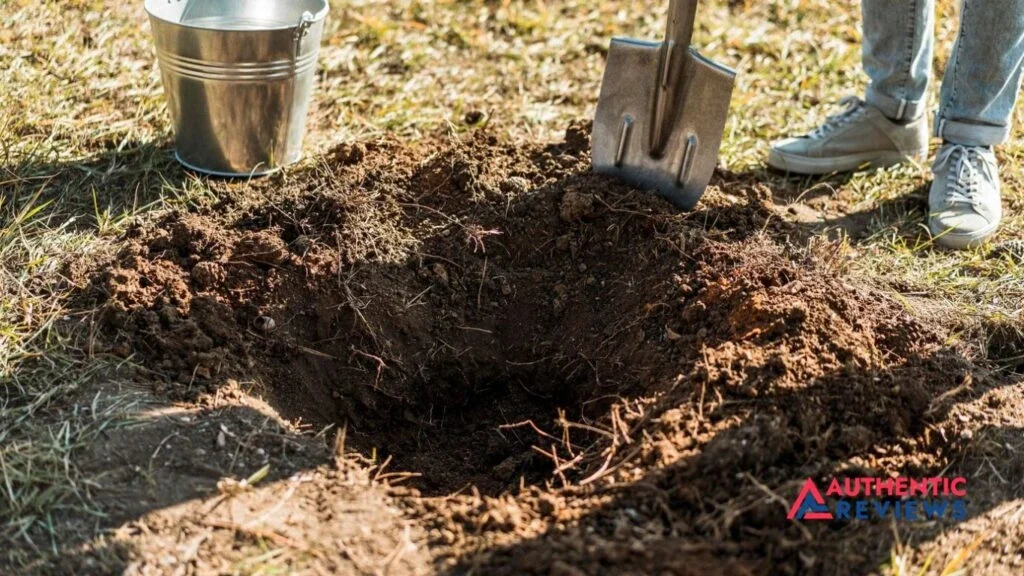 Fix Burnt Grass From a Fire Pit