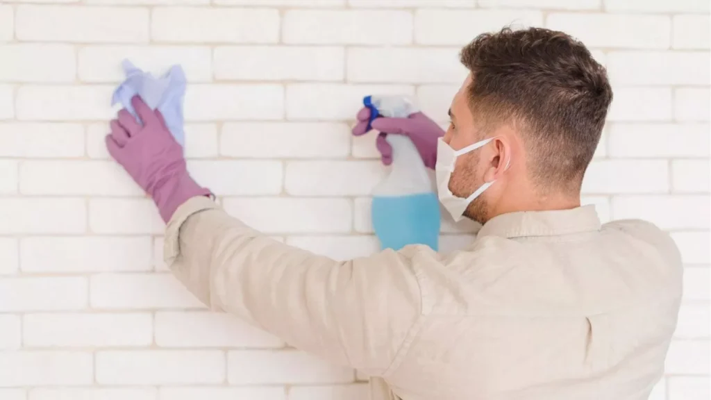 How to Remove Paint from Tiles ? - Guide to Restoring Painted Tile Beauty