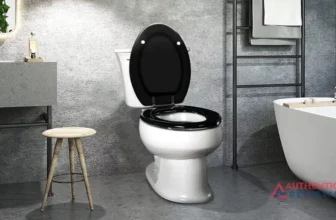 Toilet Seat For A Heavy Person