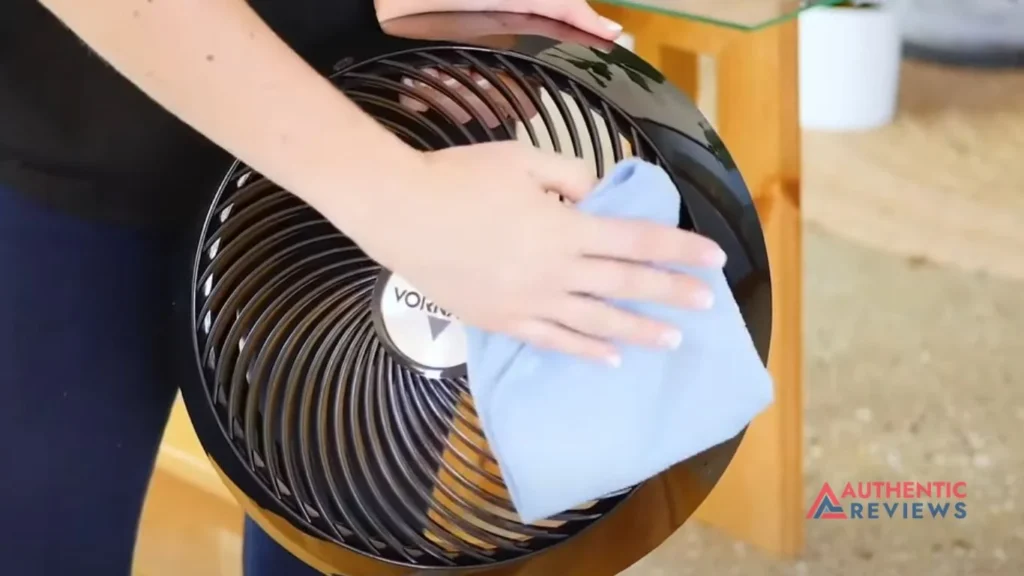 Clean Vornado Fan